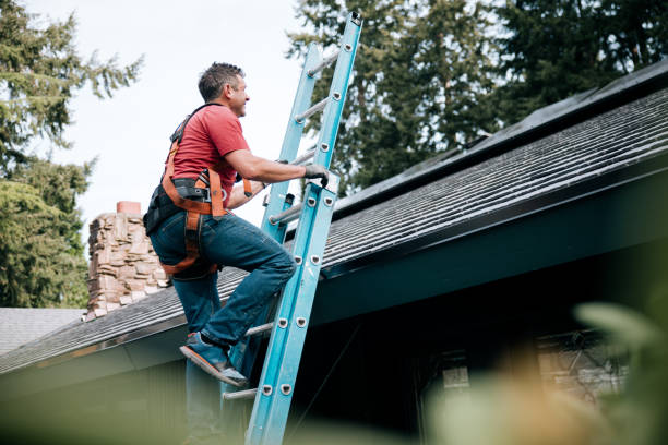 Best Roof Moss and Algae Removal  in Panorama Village, TX