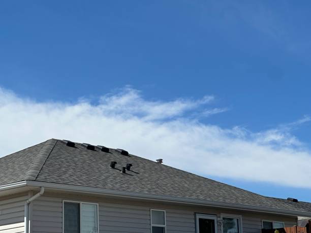 Reliable Panorama Village, TX Roofing Services Solutions